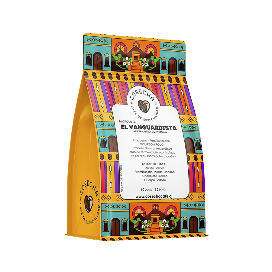 VANGUARDISTA LATERAL